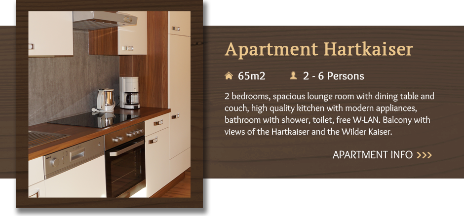 Apartment-Hartkaiser-home